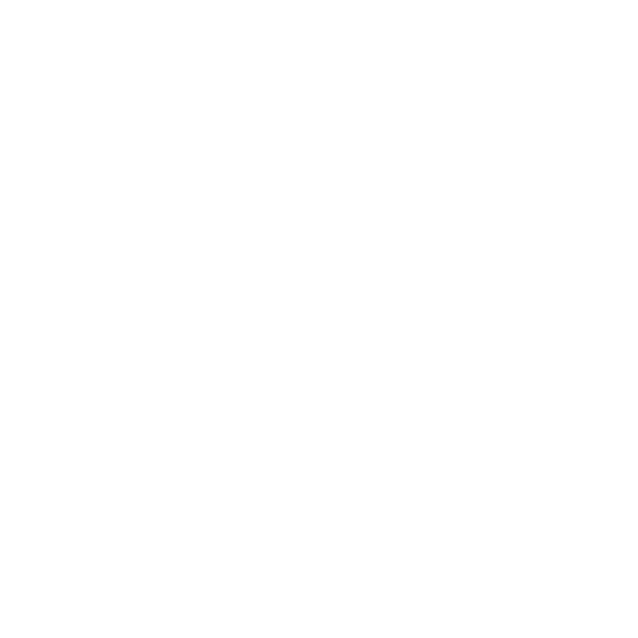 UR logo white