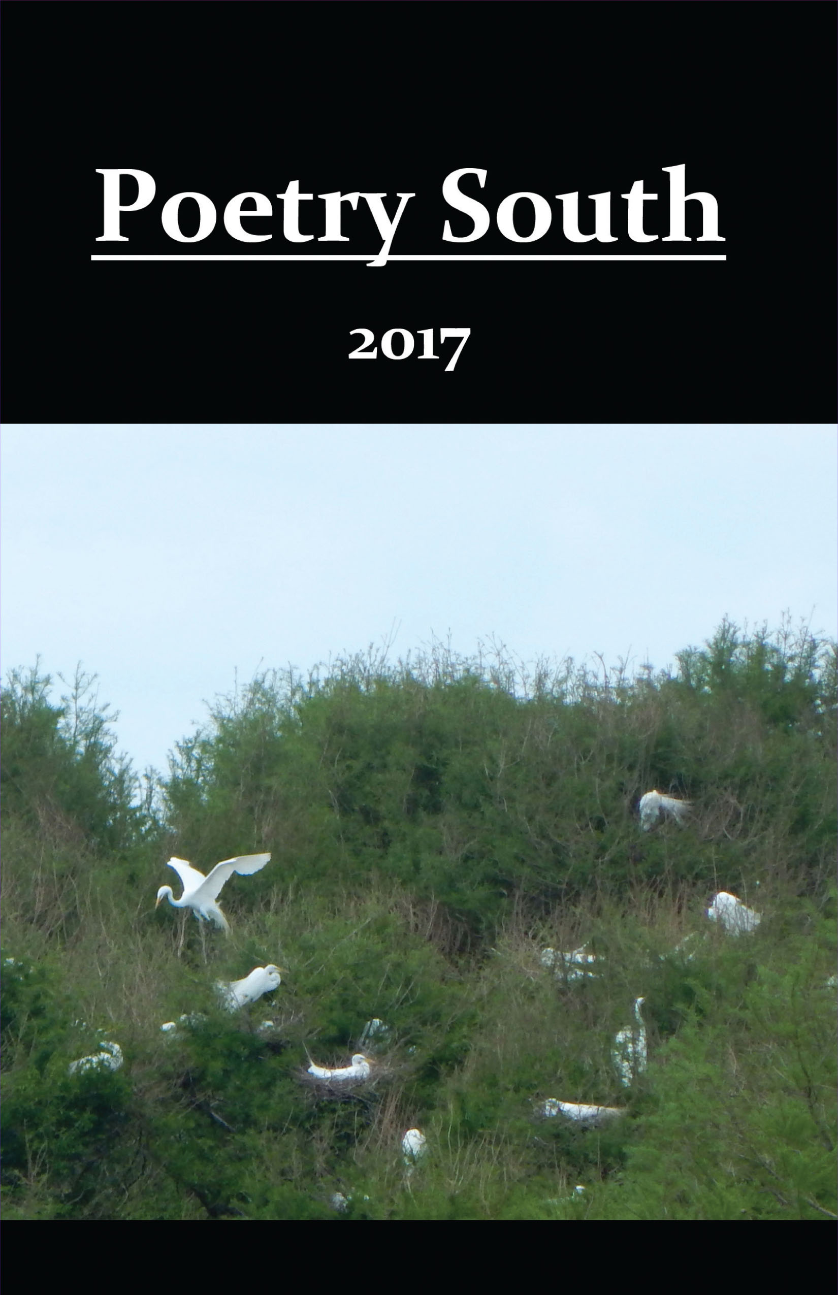 Poetry South 2017 front cover